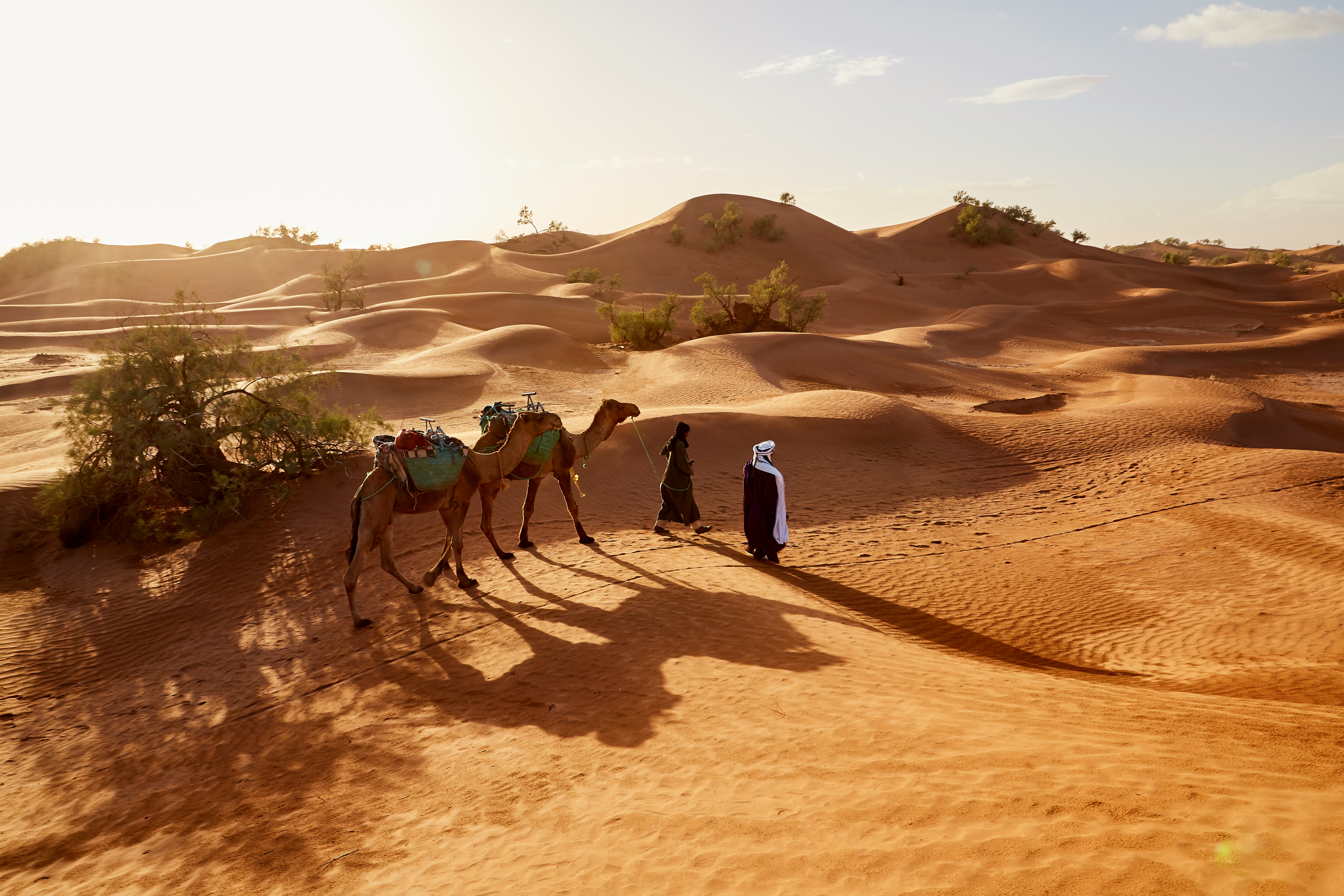 A landscape view of Arabia desert.