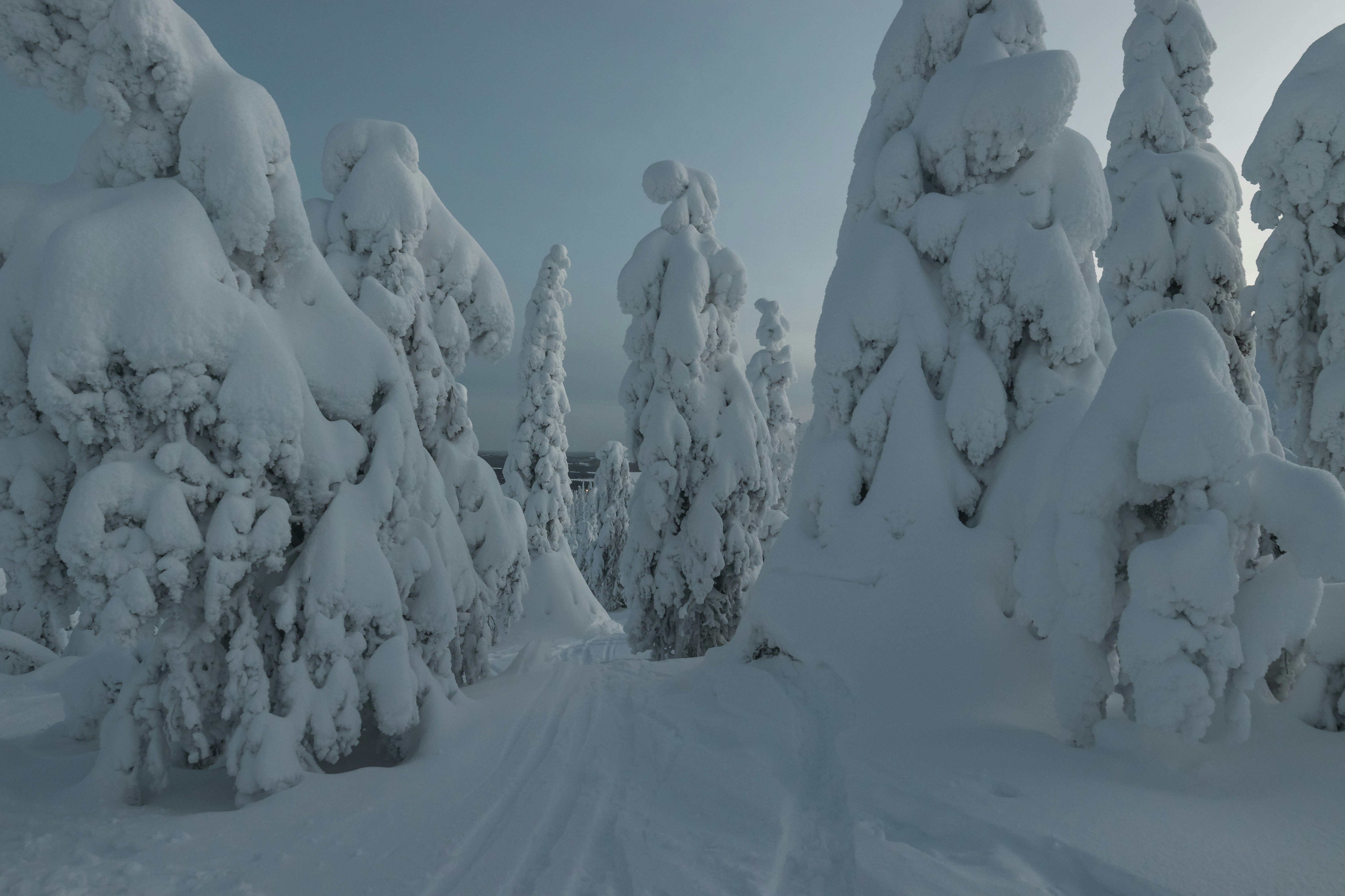 A landscape view of Finnish Lapland.