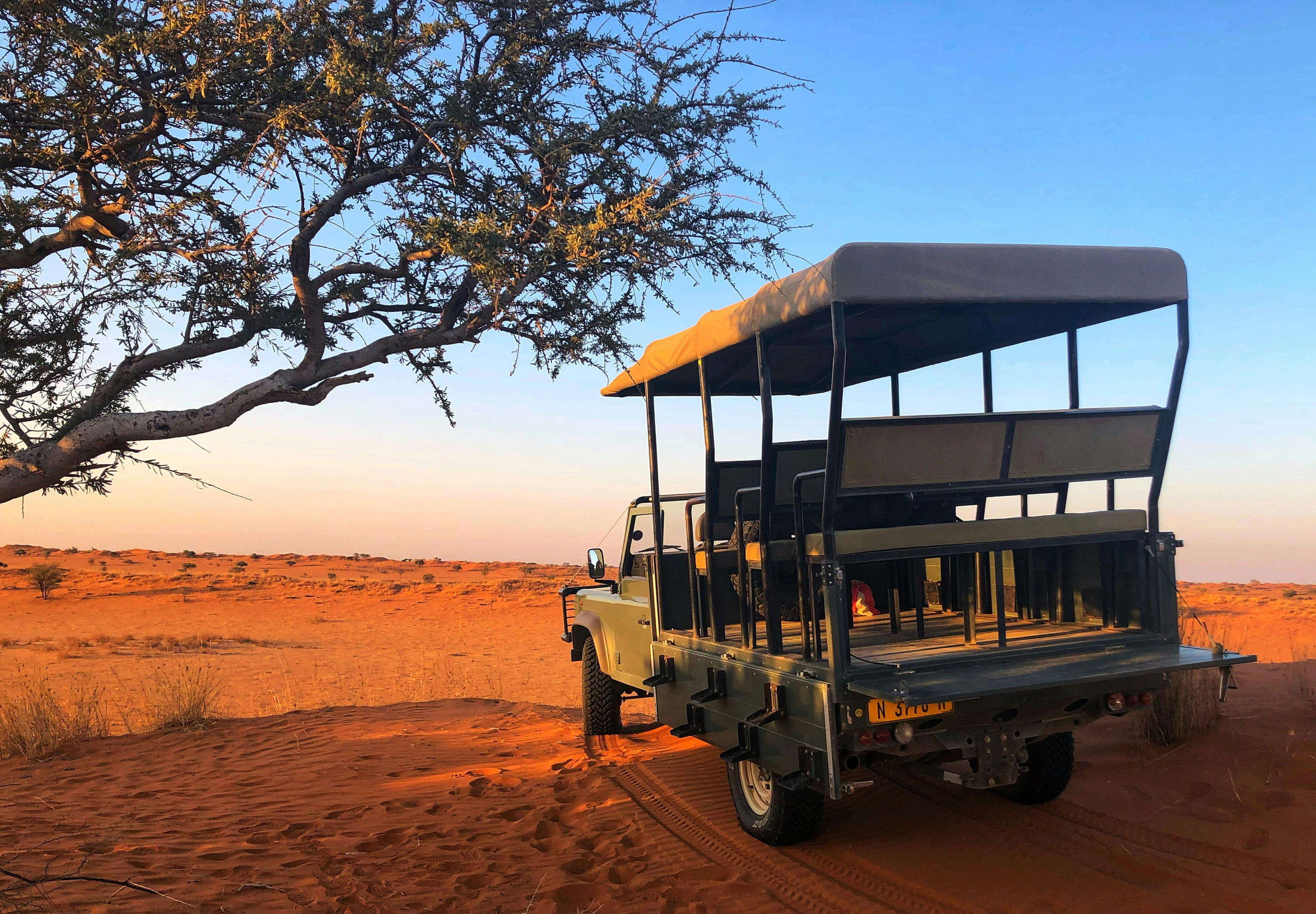 A landscape view of Kalahari drylands.