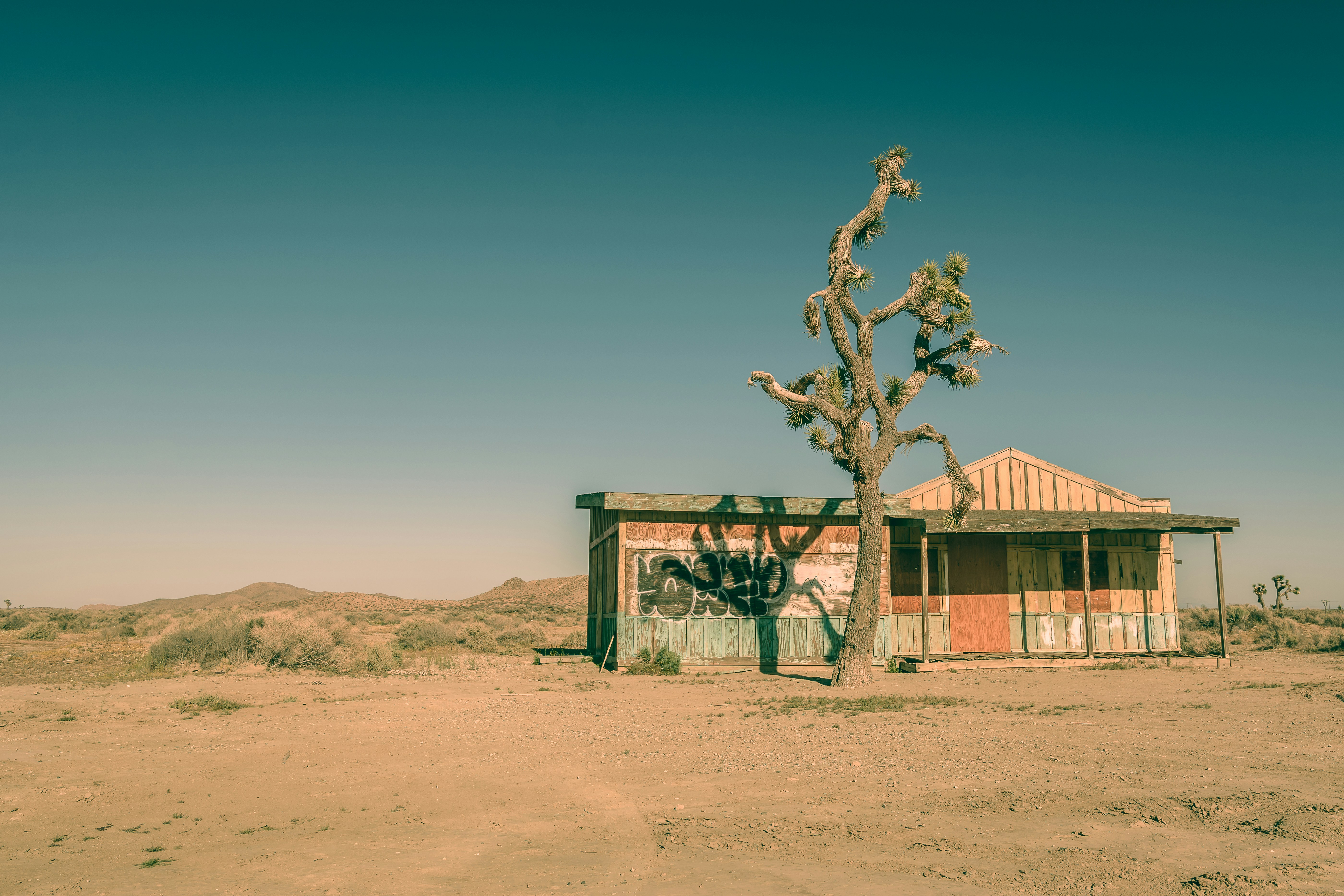 A landscape view of Mojave Desert.