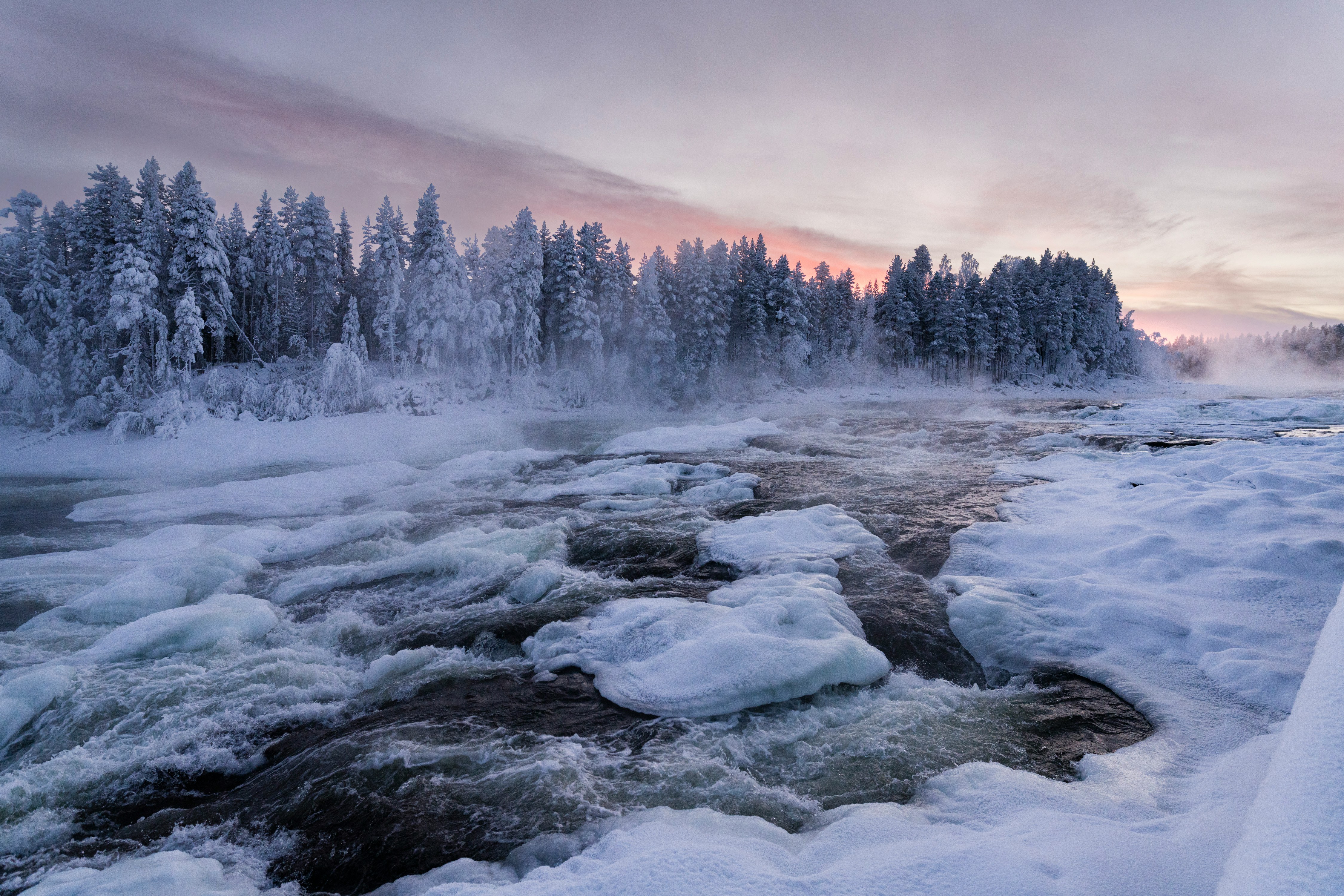 A landscape view of Swedish Lapland.
